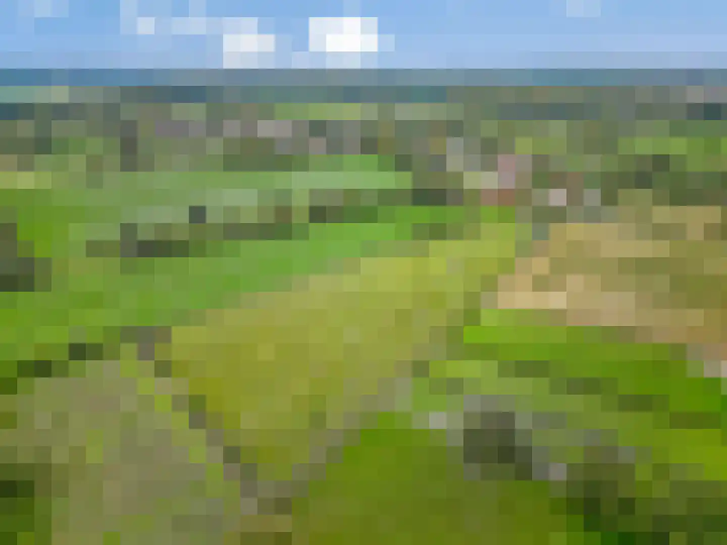 Beatrixweg 20 Epen thumbnail 60