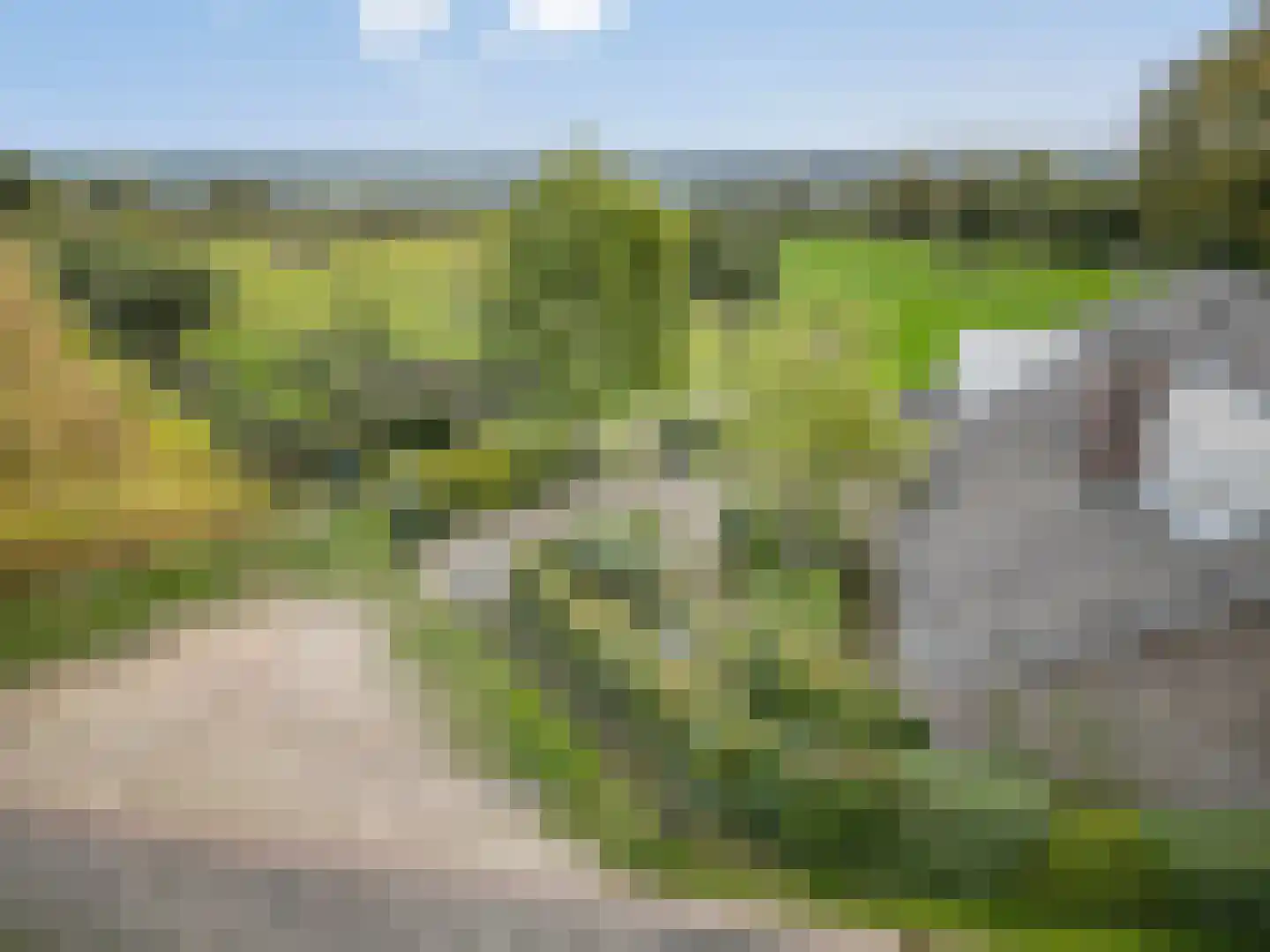 Beatrixweg 20 Epen thumbnail 64