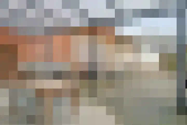 Bebouwdendam 15 Tholen thumbnail 37