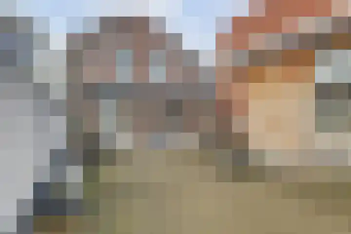 Bebouwdendam 15 Tholen thumbnail 41