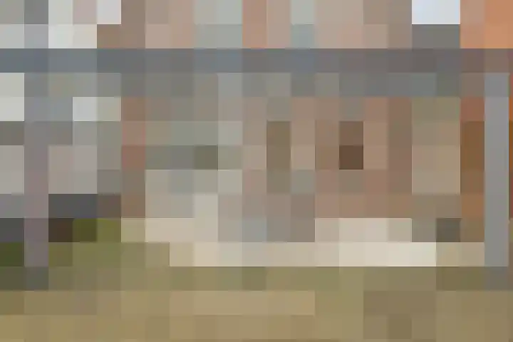 Bebouwdendam 15 Tholen thumbnail 42