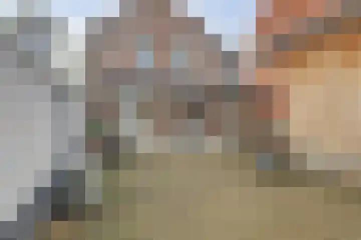 Bebouwdendam 15 Tholen thumbnail 45