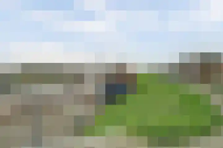 Bebouwdendam 15 Tholen thumbnail 48