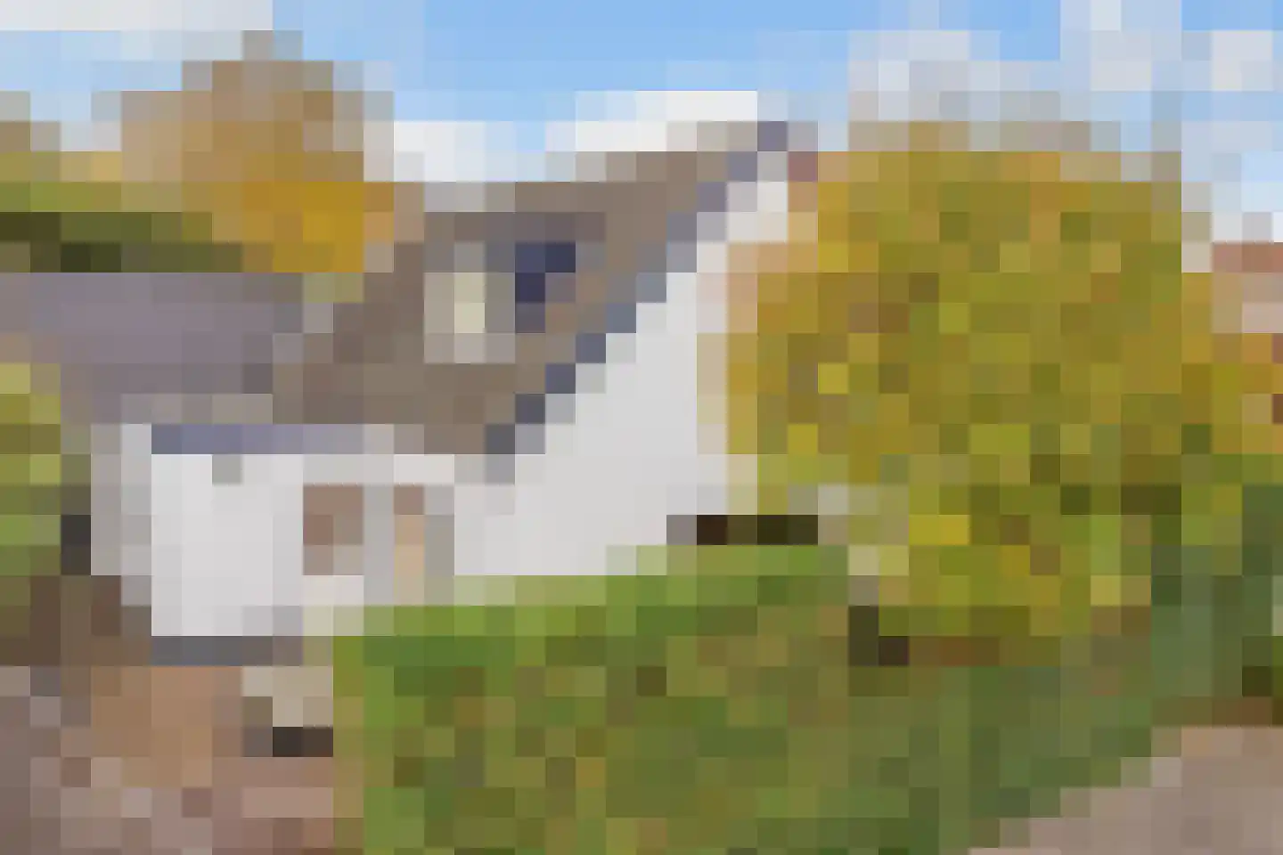 Beckeringhstraat 19 Soest thumbnail 10