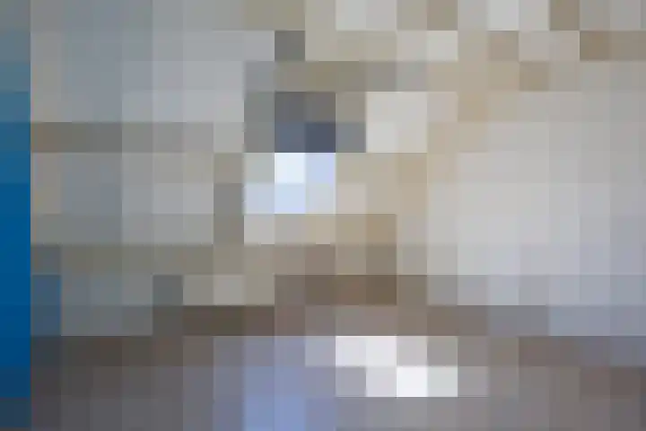 Beckeringhstraat 29 Onderdendam thumbnail 26