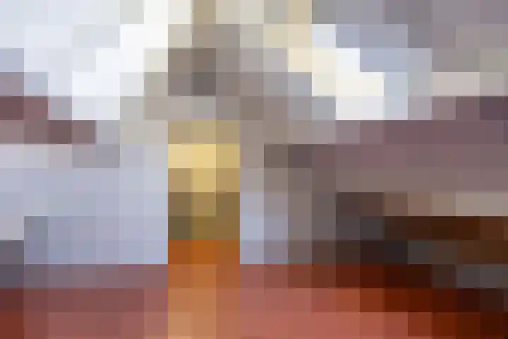 Beckeringhstraat 29 Onderdendam thumbnail 38