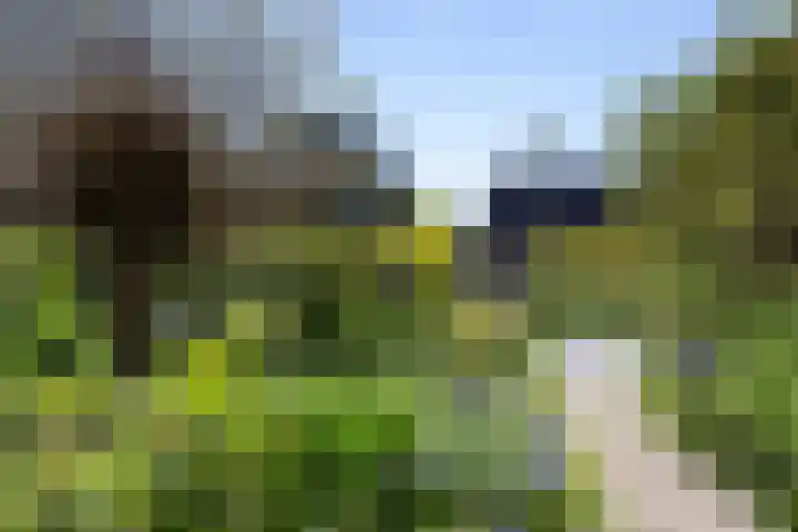 Beckeringhstraat 29 Onderdendam thumbnail 6