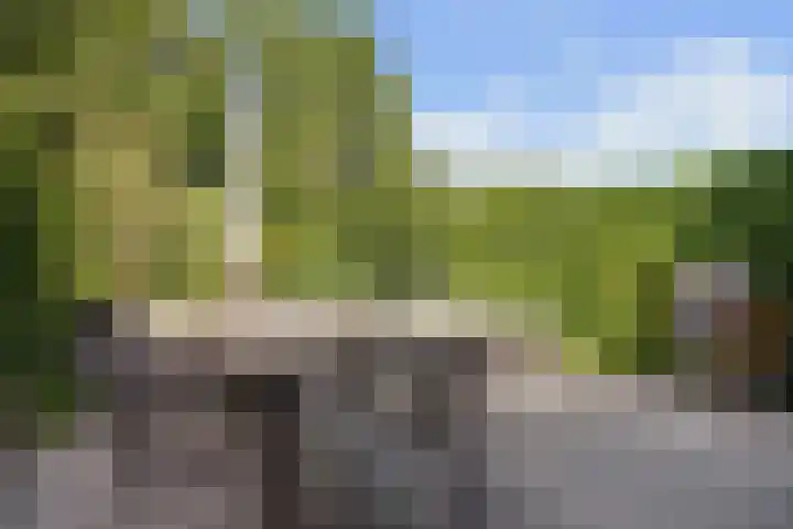 Beeckendael 11 's-Hertogenbosch thumbnail 16