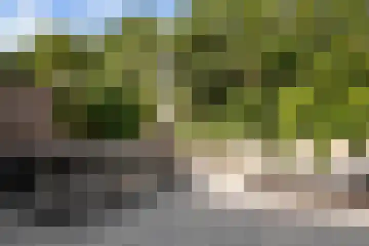 Beeckendael 11 's-Hertogenbosch thumbnail 18