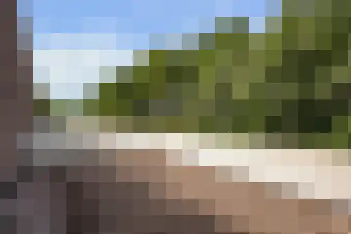 Beeckendael 11 's-Hertogenbosch thumbnail 30
