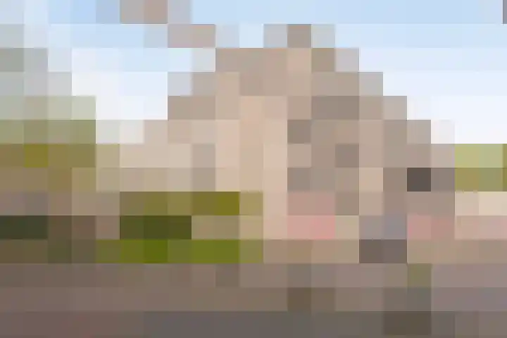 Beeckendael 44 's-Hertogenbosch