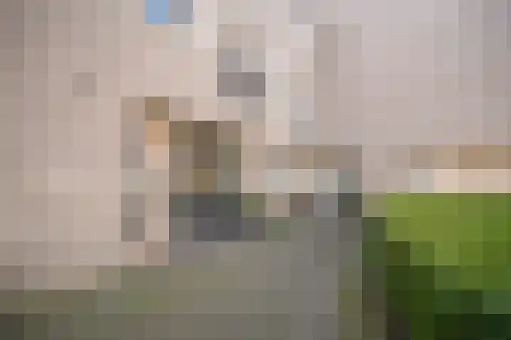 Beeckendael 58 's-Hertogenbosch thumbnail 38