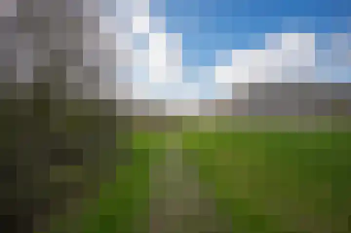 Beeckendael 58 's-Hertogenbosch thumbnail 51