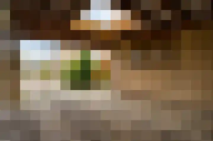 Beegdenstraat 14 Weert thumbnail 37