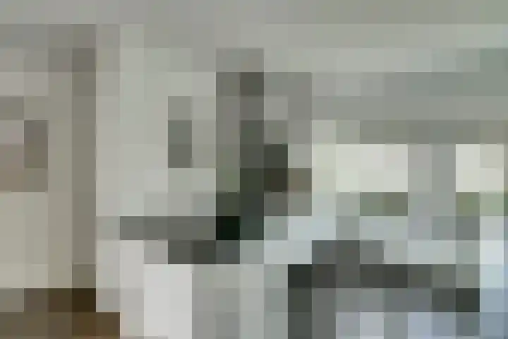 Beek 6 Merselo thumbnail 12