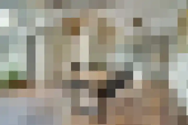 Beek 6 Merselo thumbnail 14