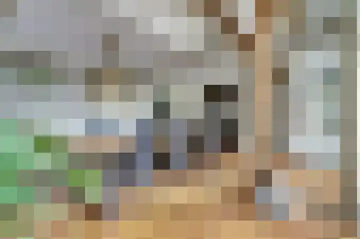 Beek 6 Merselo thumbnail 16