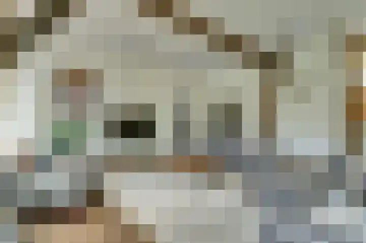 Beek 6 Merselo thumbnail 21