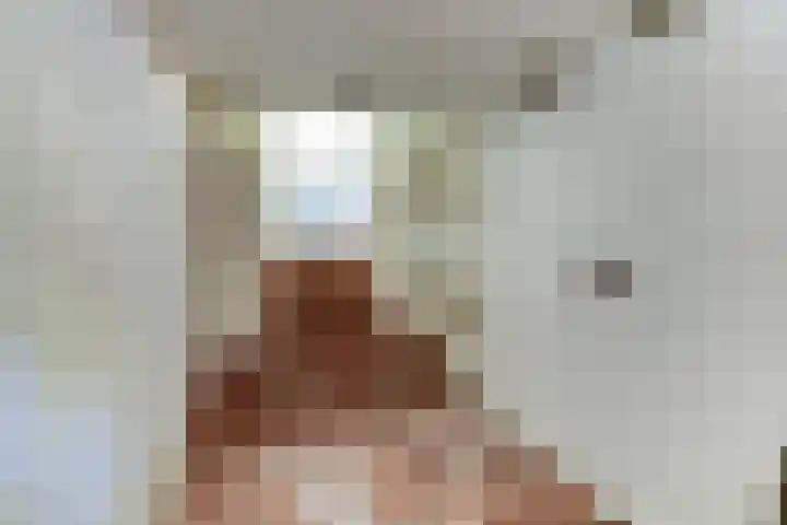 Beek 6 Merselo thumbnail 26