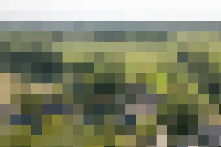 Beek 6 Merselo thumbnail 4