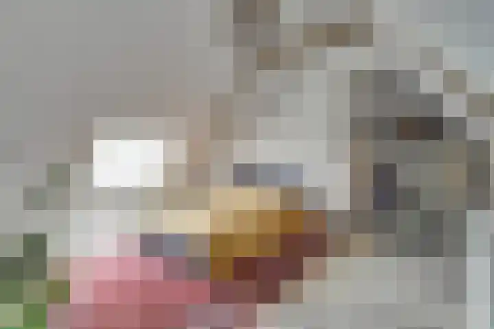 Beek 6 Merselo thumbnail 46