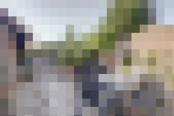 Beek 6 Merselo thumbnail 48