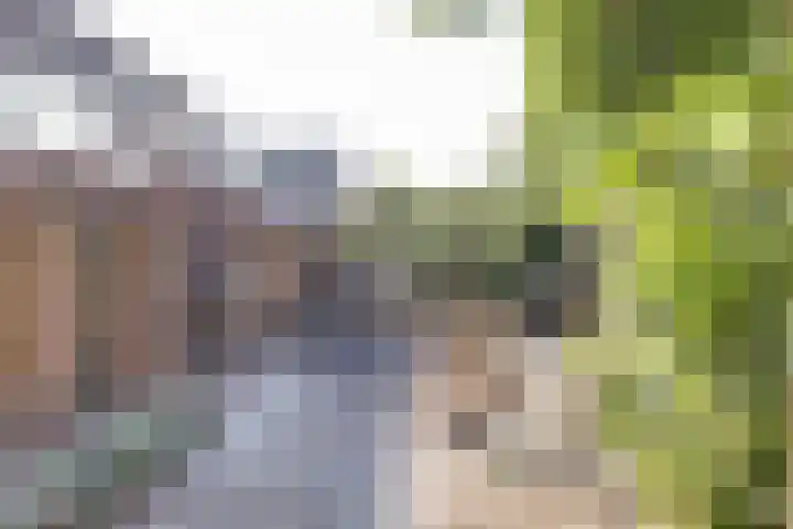 Beek 6 Merselo thumbnail 52