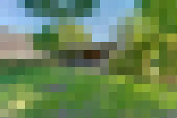 Beek 6 Merselo thumbnail 57