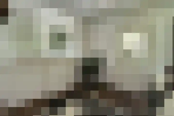 Beek 6 Merselo thumbnail 7