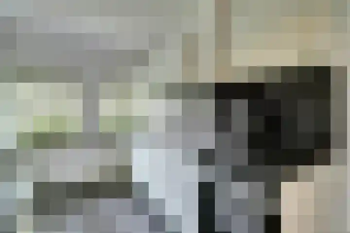 Beek 6 Merselo thumbnail 8