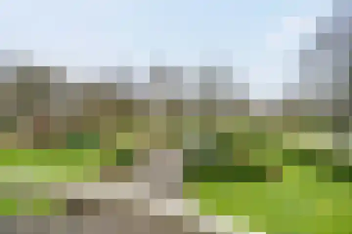 Beek en Bosch 41 Roden thumbnail 29
