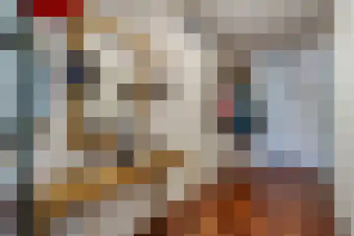 Beek en Bosch 41 Roden thumbnail 33
