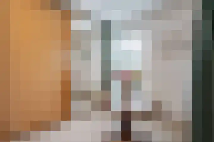 Beek en Bosch 41 Roden thumbnail 37