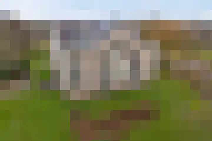 Beek en Bosch 41 Roden thumbnail 45