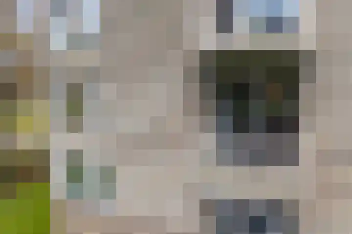Beek en Bosch 41 Roden thumbnail 46