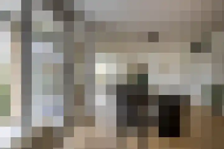 Beek en Bosch 51 Roden thumbnail 20
