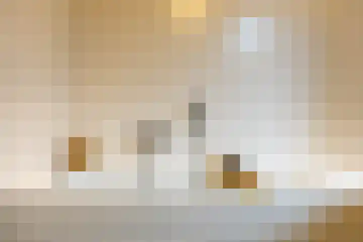 Beek en Bosch 51 Roden thumbnail 33