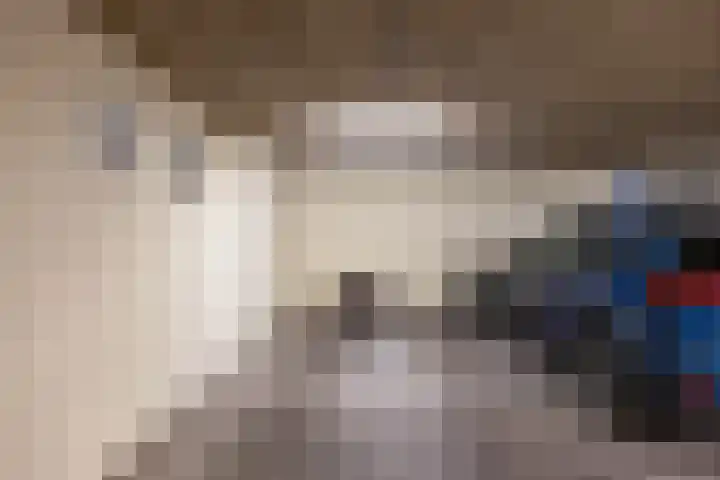 Beek en Bosch 51 Roden thumbnail 44