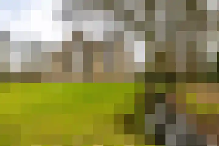 Beek en Bosch 51 Roden thumbnail 46