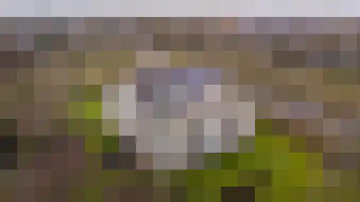 Beek en Bosch 51 Roden thumbnail 47