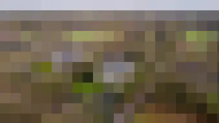 Beek en Bosch 51 Roden thumbnail 49