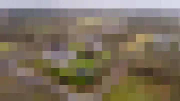 Beek en Bosch 51 Roden thumbnail 5