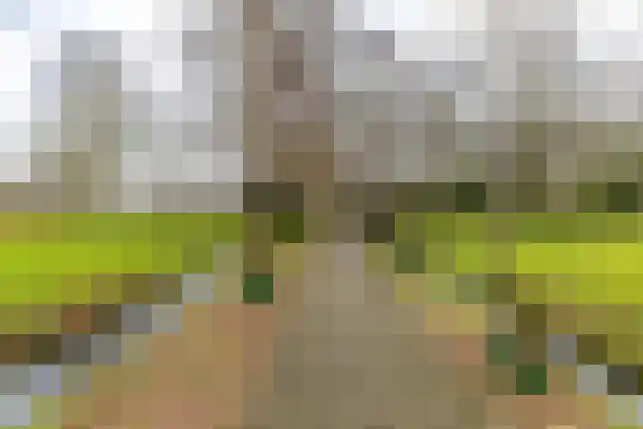 Beek en Bosch 51 Roden thumbnail 51