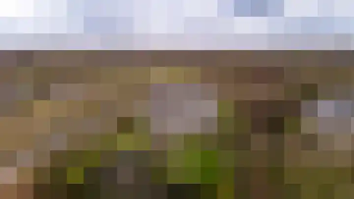 Beek en Bosch 51 Roden thumbnail 6