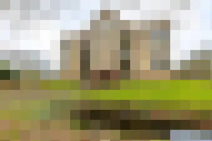 Beek en Bosch 51 Roden thumbnail 8