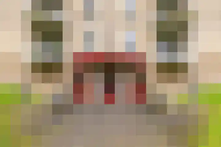 Beek en Bosch 51 Roden thumbnail 9