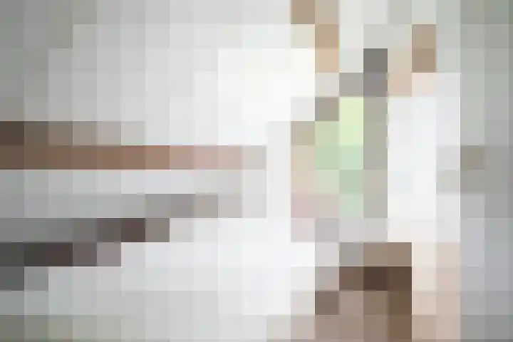 Beek en Brink 31 Zorgvlied thumbnail 17