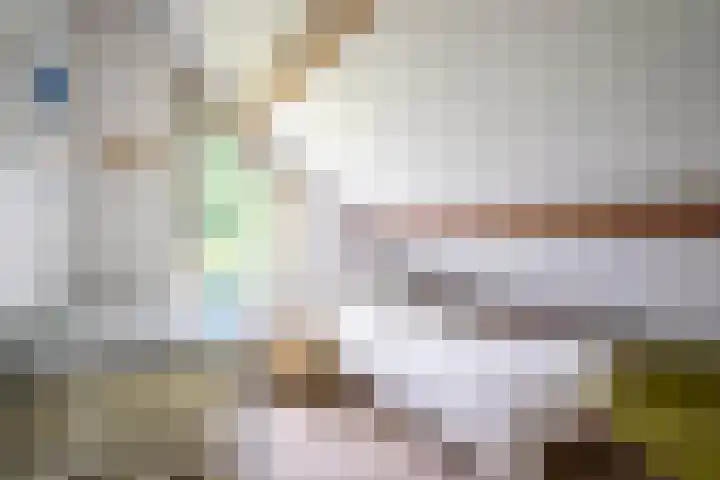 Beek en Brink 31 Zorgvlied thumbnail 18