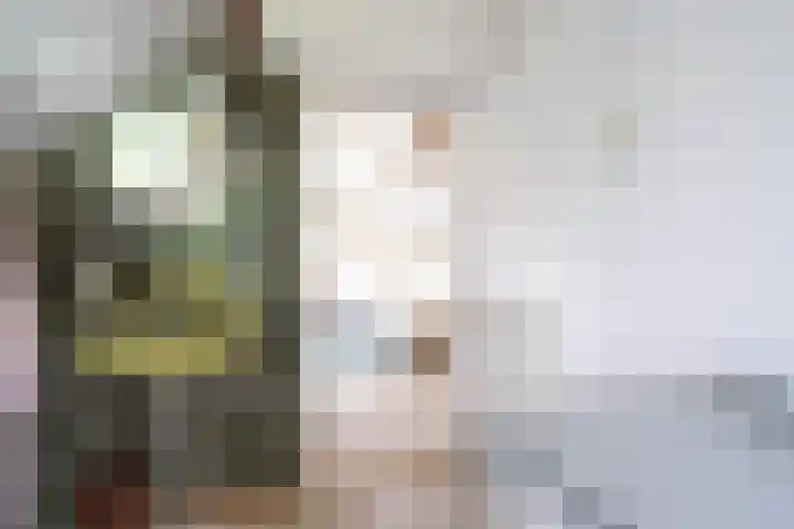 Beek en Brink 31 Zorgvlied thumbnail 19