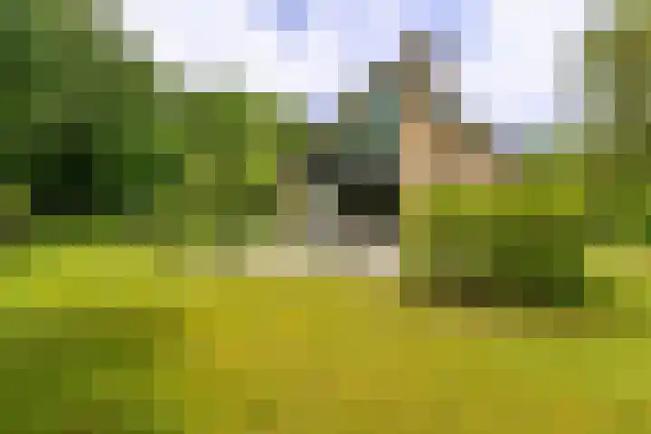 Beek en Brink 31 Zorgvlied thumbnail 20